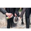 ALQUITRAN MADERA DE HAYA SPRAY PARA RANILLA BENSE & EICKE