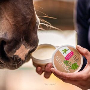 BÁLSAMO NUTRITIVO PARA HOCICO Y ÁREAS SENSIBLES BENSE & AMP
