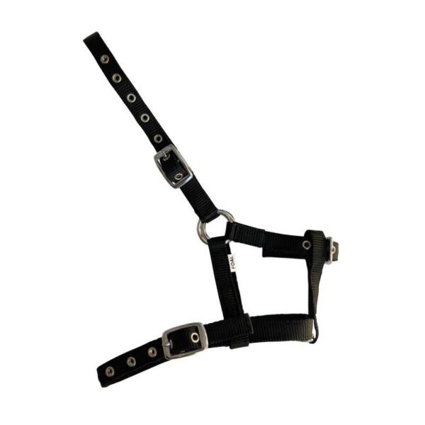CABEZADA NYLON POTRO