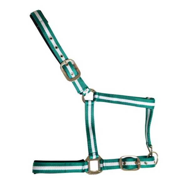 CABEZADA DE NYLON SOFT MJ