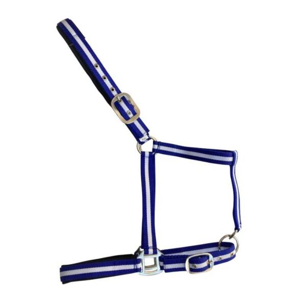 CABEZADA DE NYLON SOFT MJ