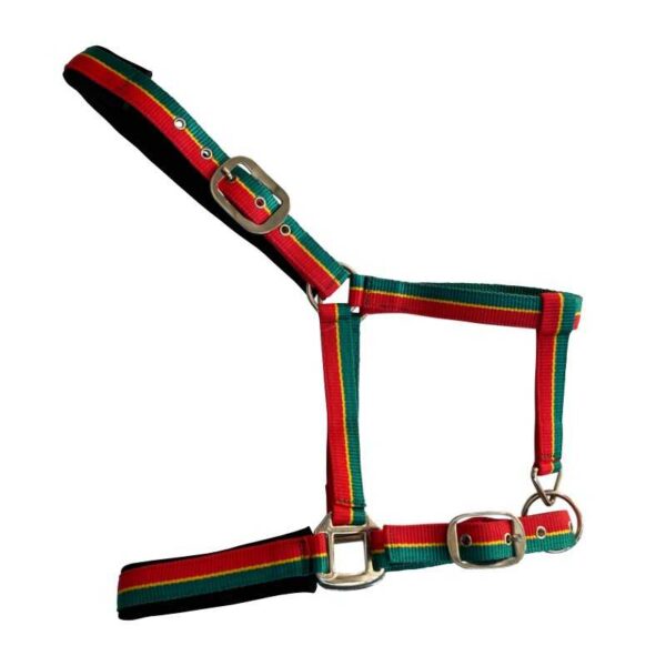 CABEZADA DE NYLON SOFT MJ
