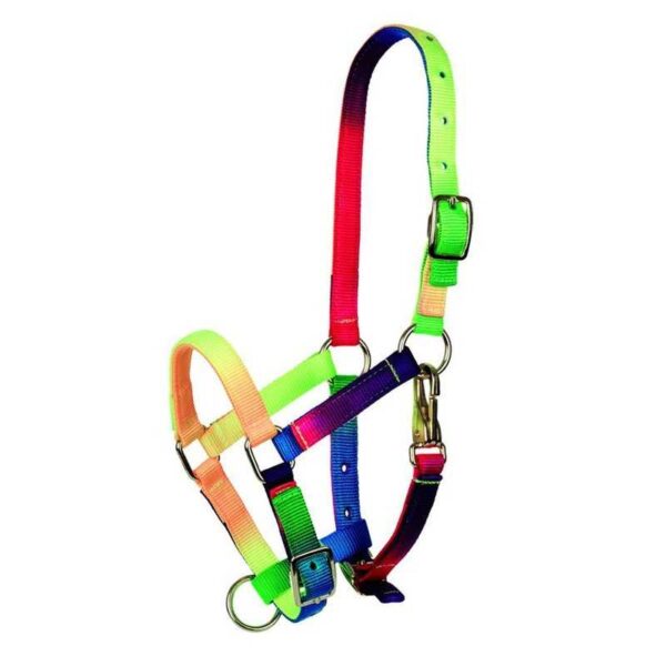 CABEZADA MULTICOLOR TATTINI PARA POTRO