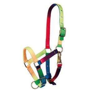 CABEZADA TATTINI MULTICOLOR PARA PONY