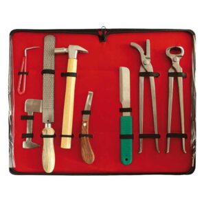 MALETÍN PARA HERRADOR CON 8 HERRAMIENTAS ACERO INOX