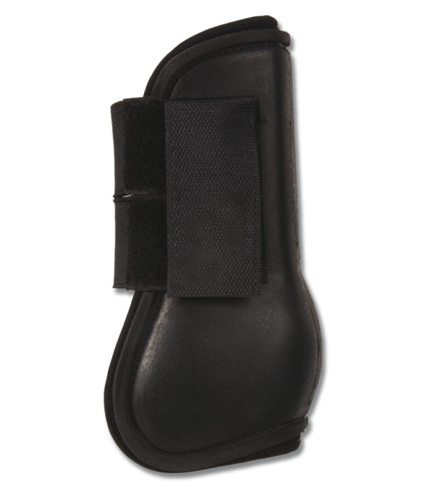PROTECTORES SHETTY  WALDHAUSEN
