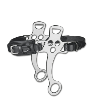 HACKMORE WALDHAUSEN
