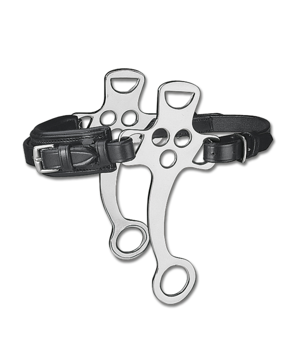 HACKMORE WALDHAUSEN