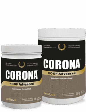 CORONA HOOF ADVANCED 900GR