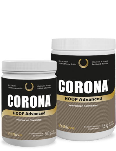 CORONA HOOF ADVANCED 900GR