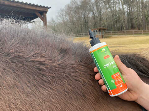 DERFEN™ CLEAR LOTION ANIMADERM